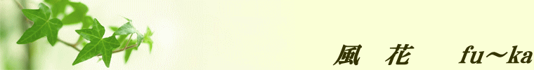 風　花　　fu～ka 