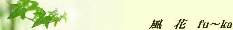 風　花　fu～ka 
